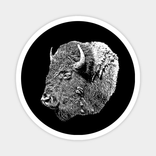 Bison Magnet by Guardi